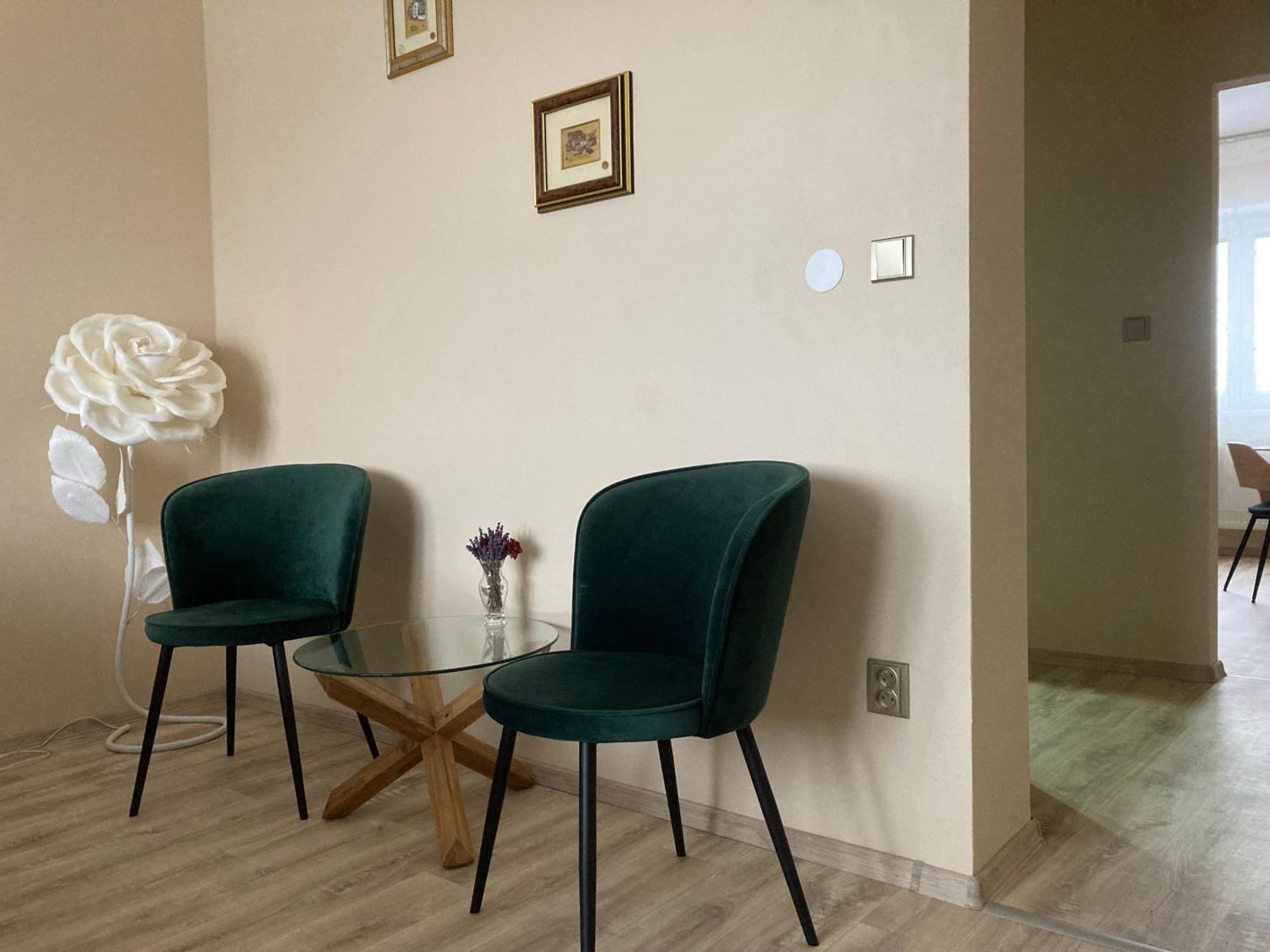 Apartment In The Garden Drzovice Zewnętrze zdjęcie